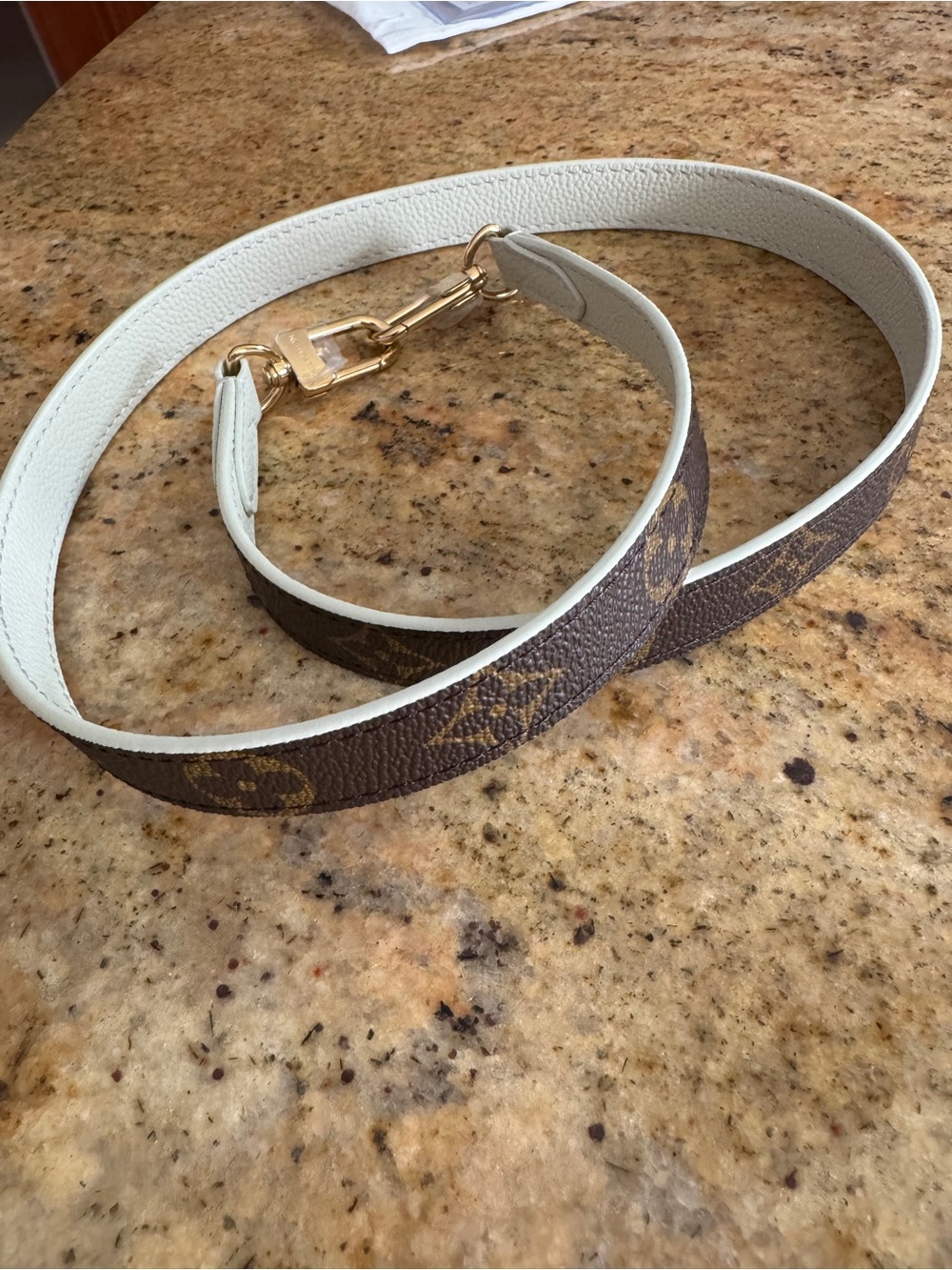 Louis Vuitton Inside Out Bandouliere BB Shoulder Strap